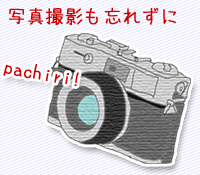 写真撮影も忘れずに